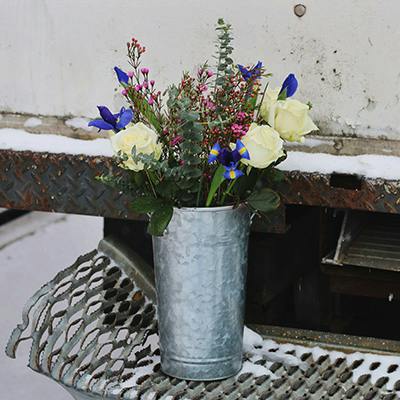 Bear's Pick - Crompton in the vase