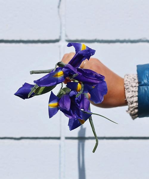 Irises