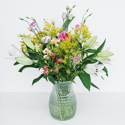Sombreo in the vase