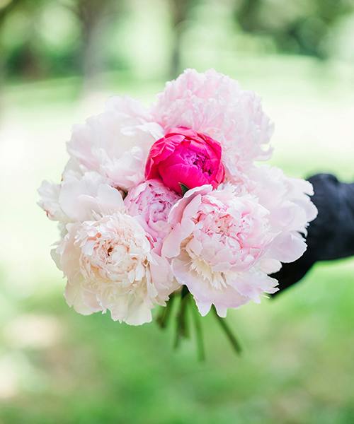 Peonies