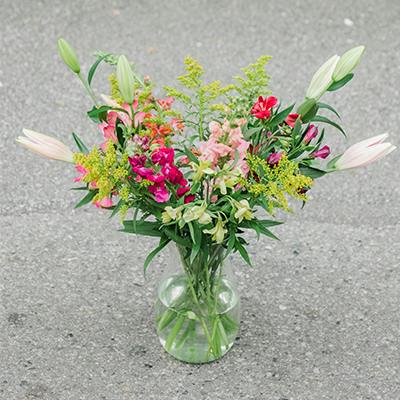 Templeton in the vase