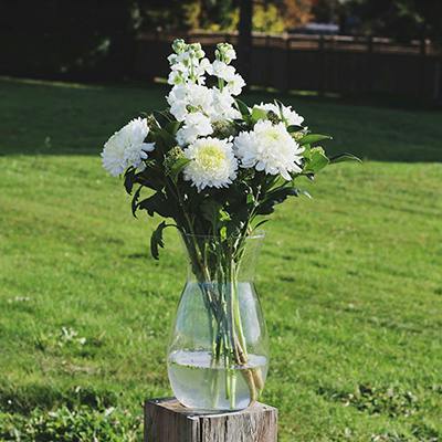 Quadra in the vase