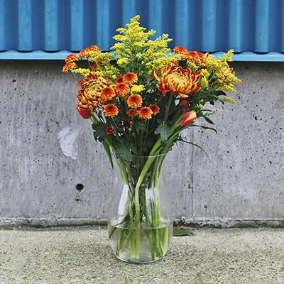 Rhodes in the vase
