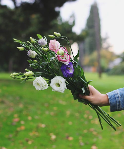 Rosita Lisianthus