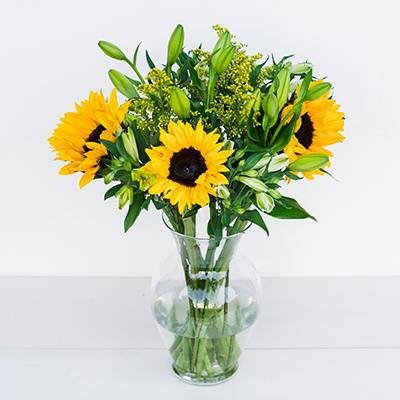 Soleil in the vase