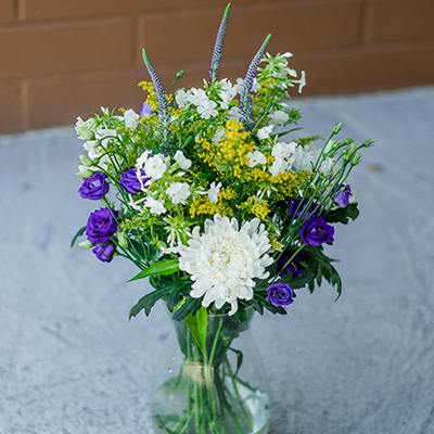 Dunbar in the vase