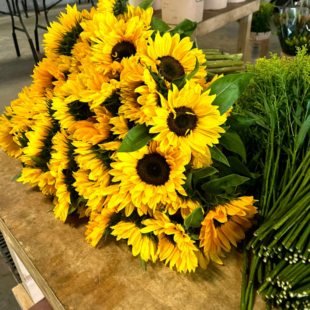 What Flower You Are Based On Your Horoscope