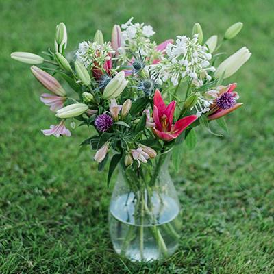 Clancy in the vase