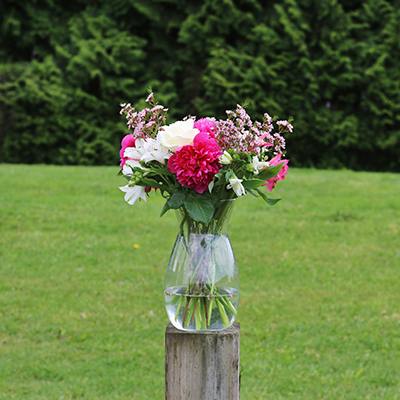 Hazelton in the vase