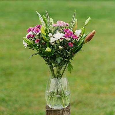 Galiano in the vase