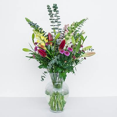 Willow in the vase