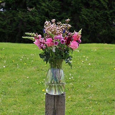 Inverness in the vase