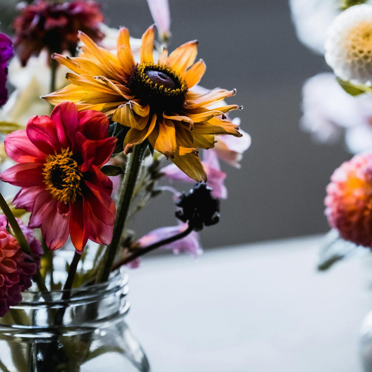 What Flower You Are Based On Your Horoscope