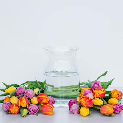 Easter Tulip Box in the vase