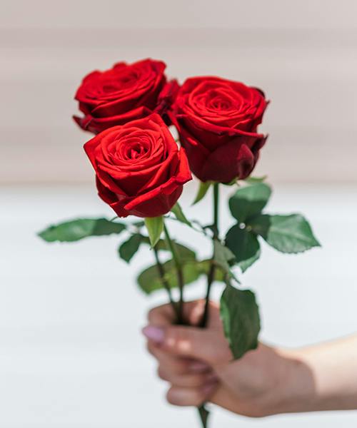 Roses