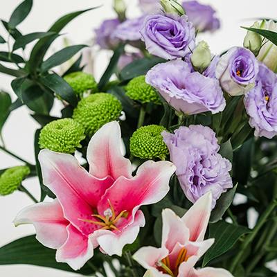 Empress in bloom