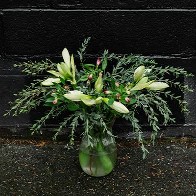 Ortona in the vase