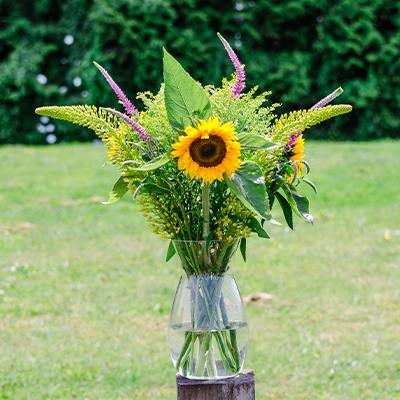 Abott in the vase