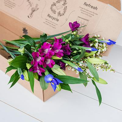 Oak in the box