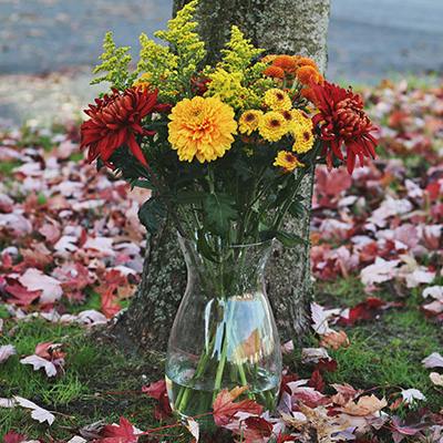 Prior in the vase