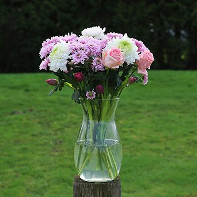 Coleridge in the vase