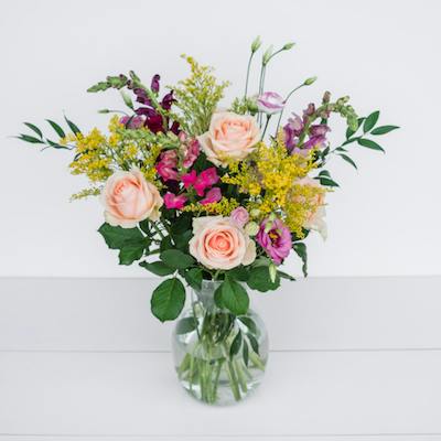 Jordan in the vase