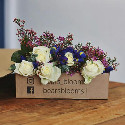 Bear's Pick - Crompton in the box