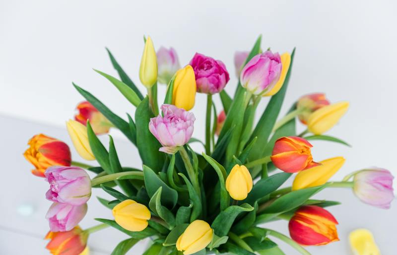 Easter Tulip Box