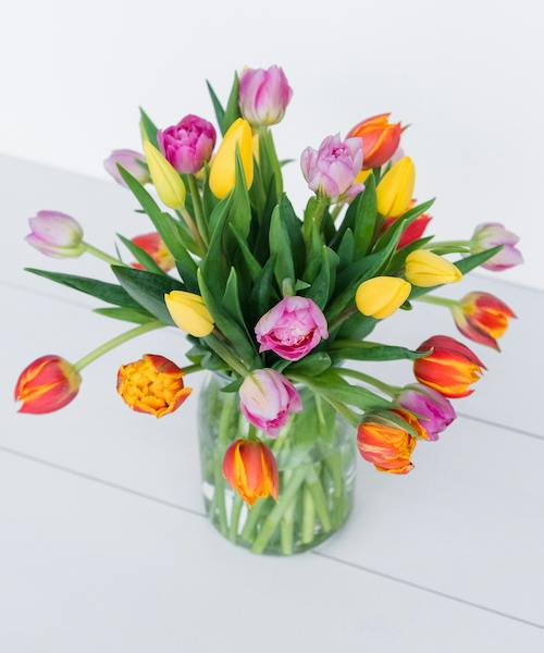 Tulips Galore