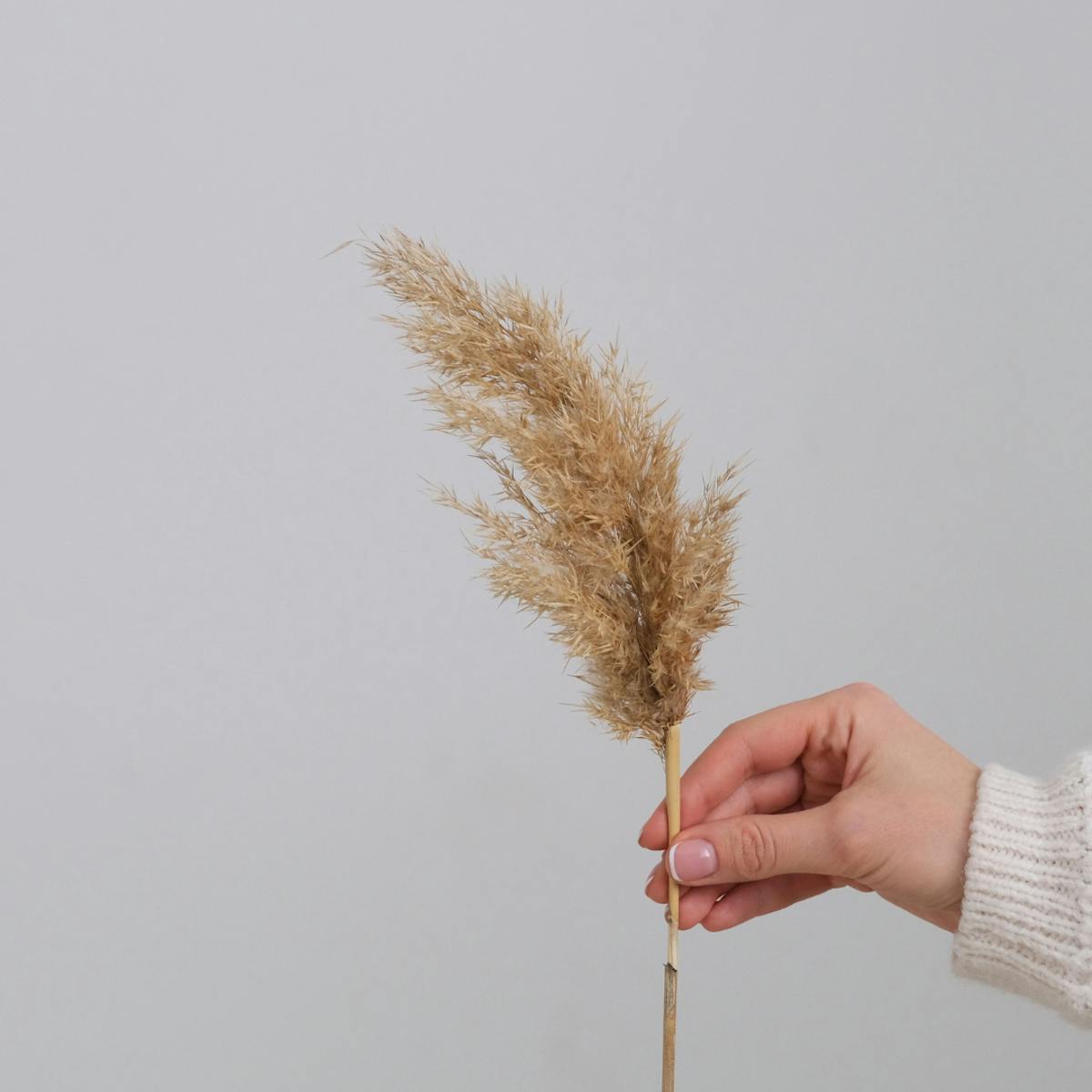 DIY Pampas Grass Wreath