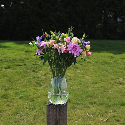 Dundee in the vase