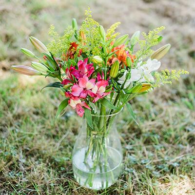 Pender in the vase