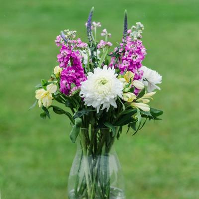 Gilford in the vase