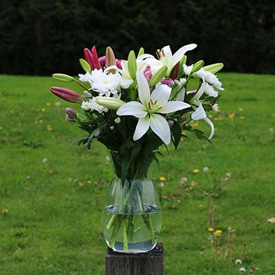 Kanata in the vase