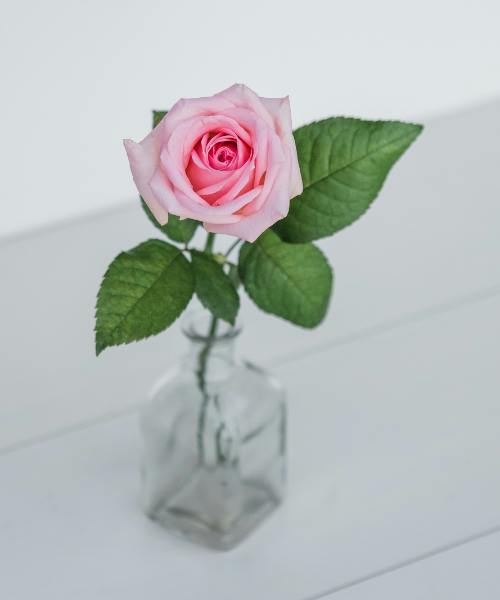 Rose Lover's Box