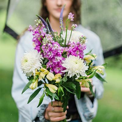 Gilford in bloom