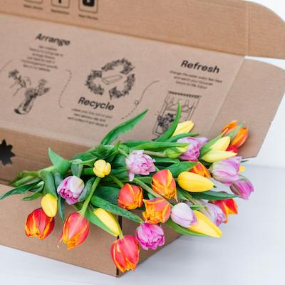 Easter Tulip Box in the box