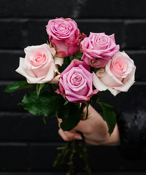 Roses