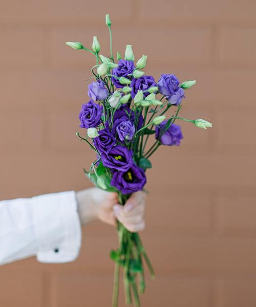 Lisianthus