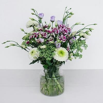 Sidney in the vase
