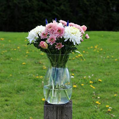 Killarney in the vase