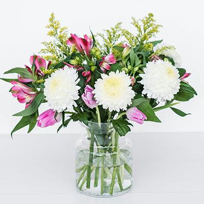 Holly in the vase