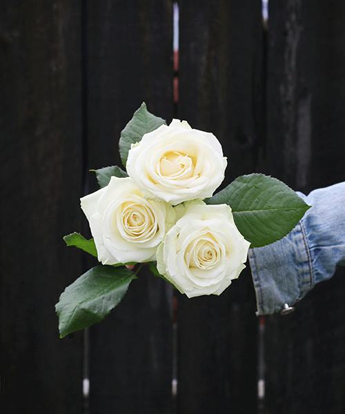 Roses