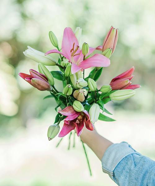 Lilies