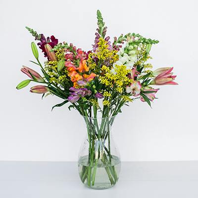 Pasley in the vase