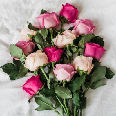 Rose Lover's Box in the box