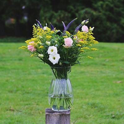 Rupert in the vase
