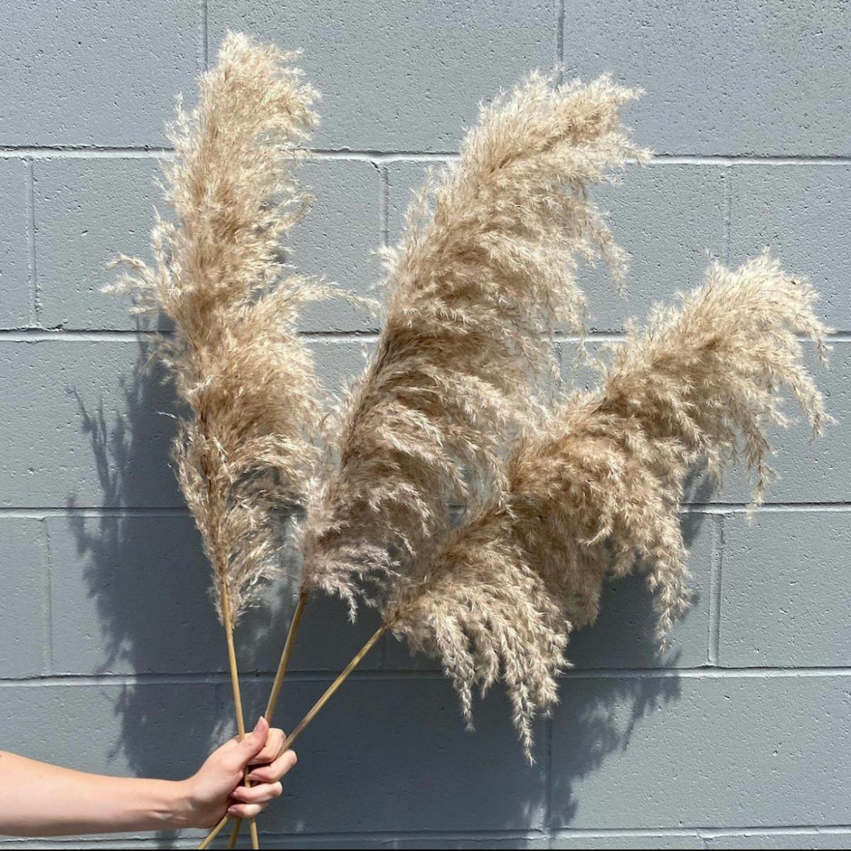 DIY Pampas Grass Wreath