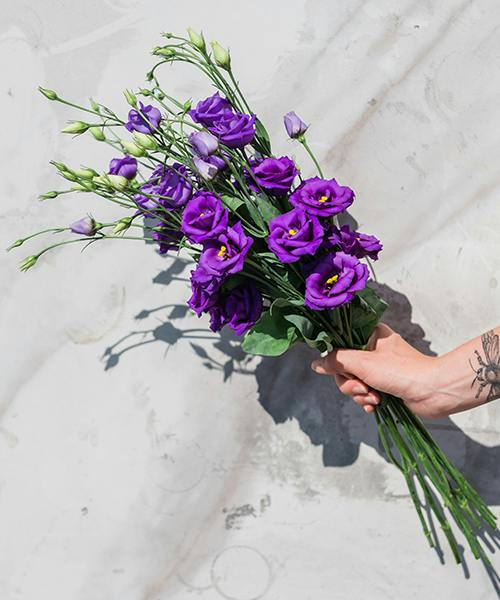 Lisianthus
