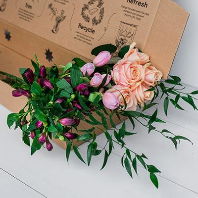 Arbutus in the box